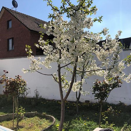Kleve-Kellen Apartment Kleve  Luaran gambar